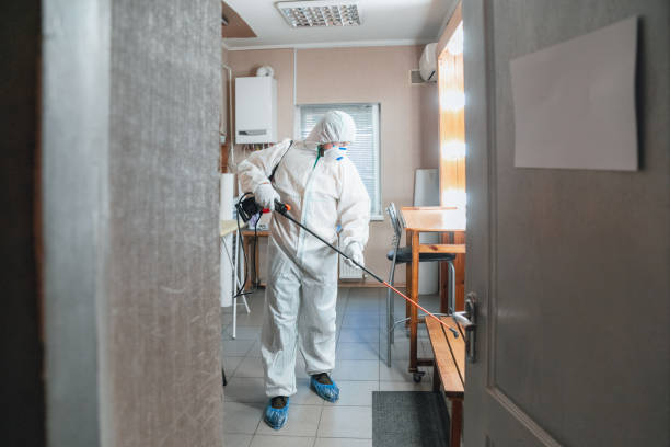 Best Mold Prevention Services  in Boonton, NJ