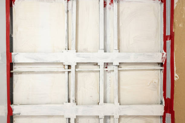 Trusted Boonton, NJ Mold Removal Experts