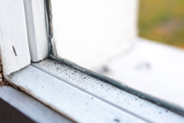 Best Mold Remediation for Healthcare Facilities  in Boonton, NJ