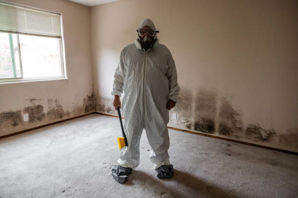 Best Real Estate Mold Inspection  in Boonton, NJ