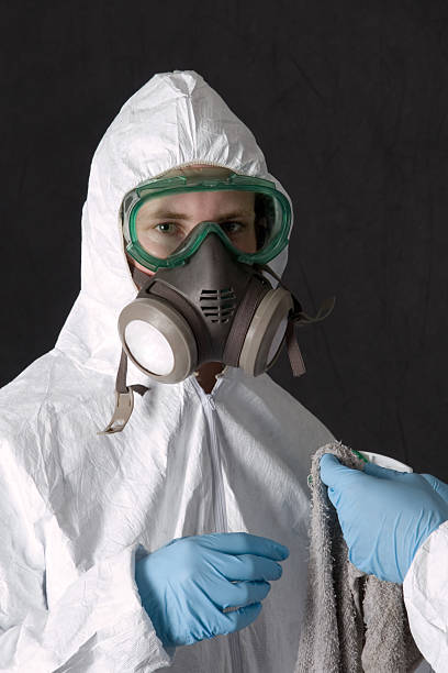 Best Mold Odor Removal Services  in Boonton, NJ